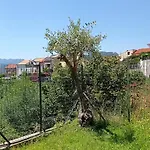 Gatti E Mare * Salerno