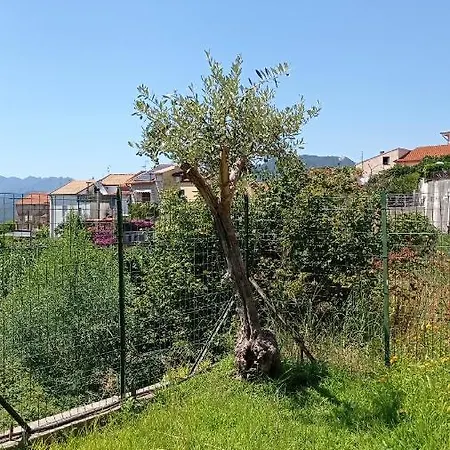 Gatti E Mare * Salernes