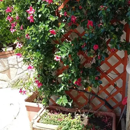 Gatti E Mare Salerno